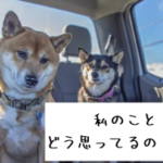 遊び人やホストが女性遊びをやめる時【どうしてやめるか知ってる?】